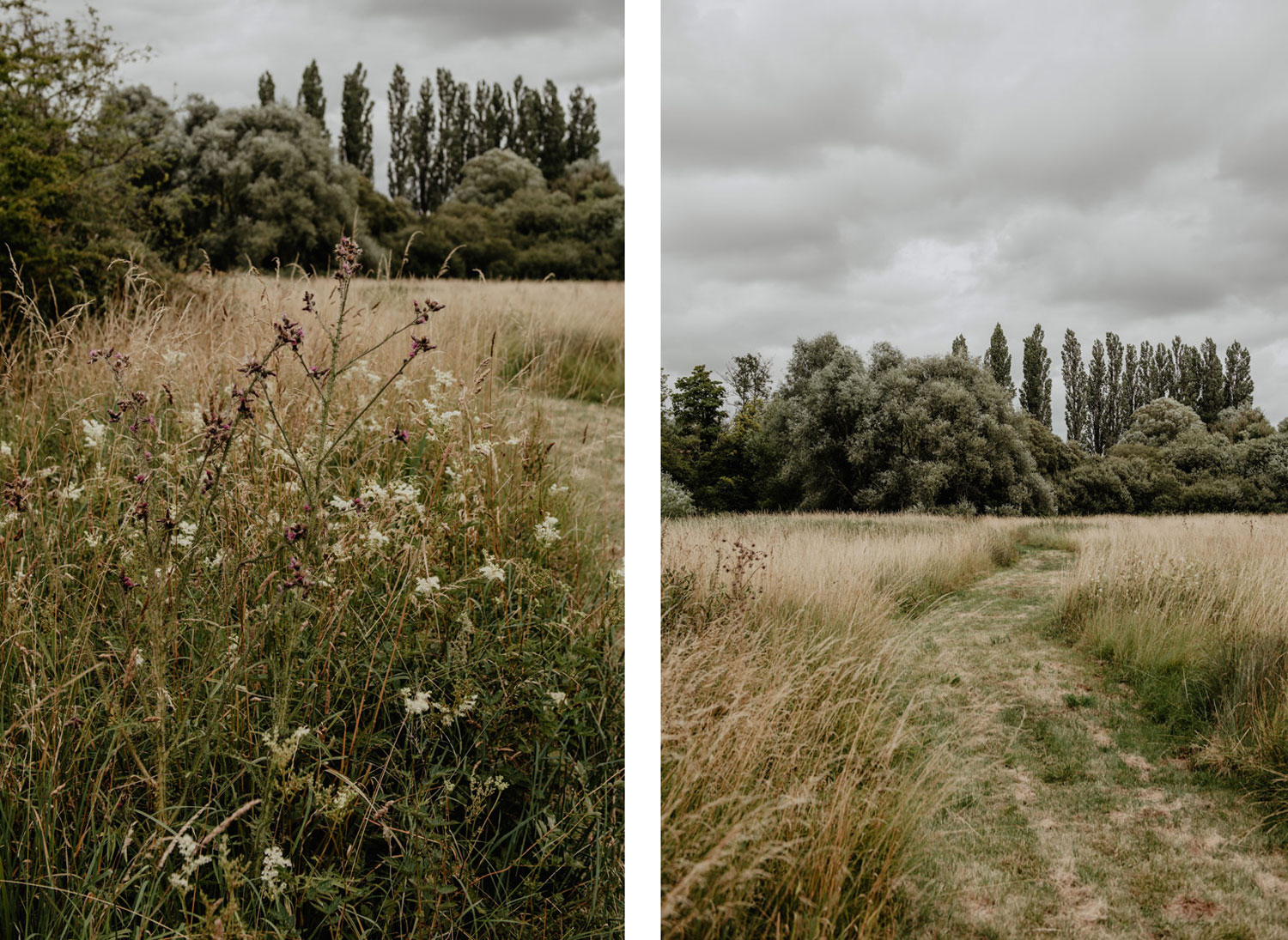 elegant wiltshire meadow marquee wedding anne schwarz photography