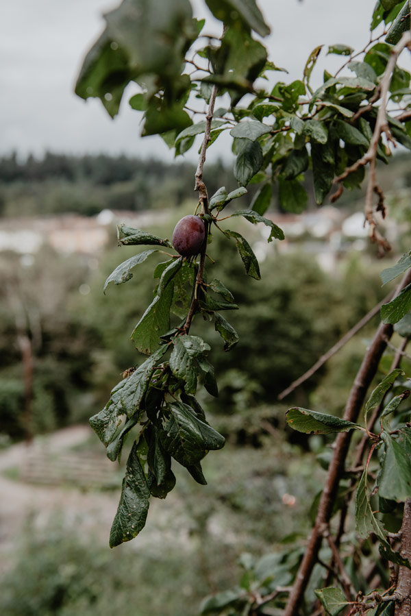 shropshire barn wedding photography